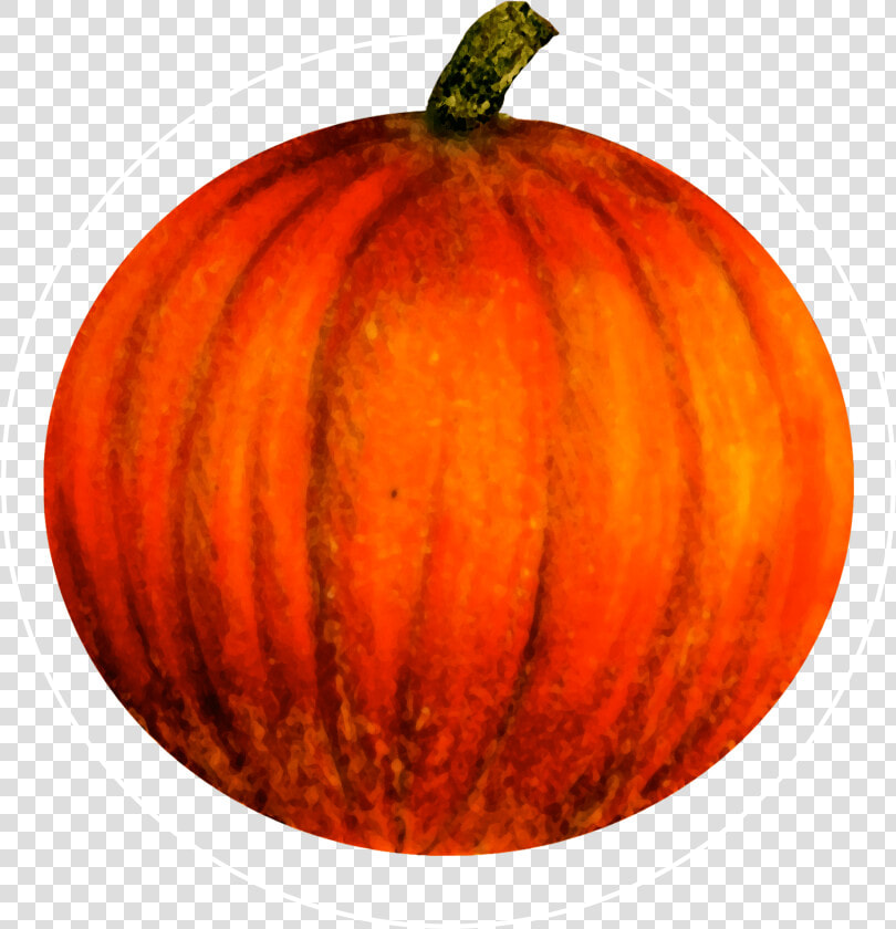 Attribute Motif Pumpkin White   Pumpkin  HD Png DownloadTransparent PNG