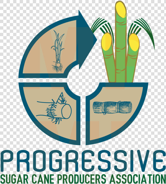 Progressive Sugar Cane Producers Association  HD Png DownloadTransparent PNG