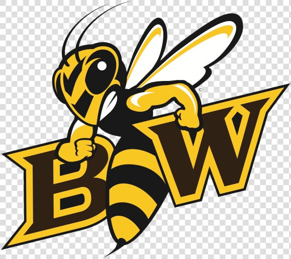 Baldwin Wallace   Baldwin Wallace Yellow Jackets  HD Png DownloadTransparent PNG