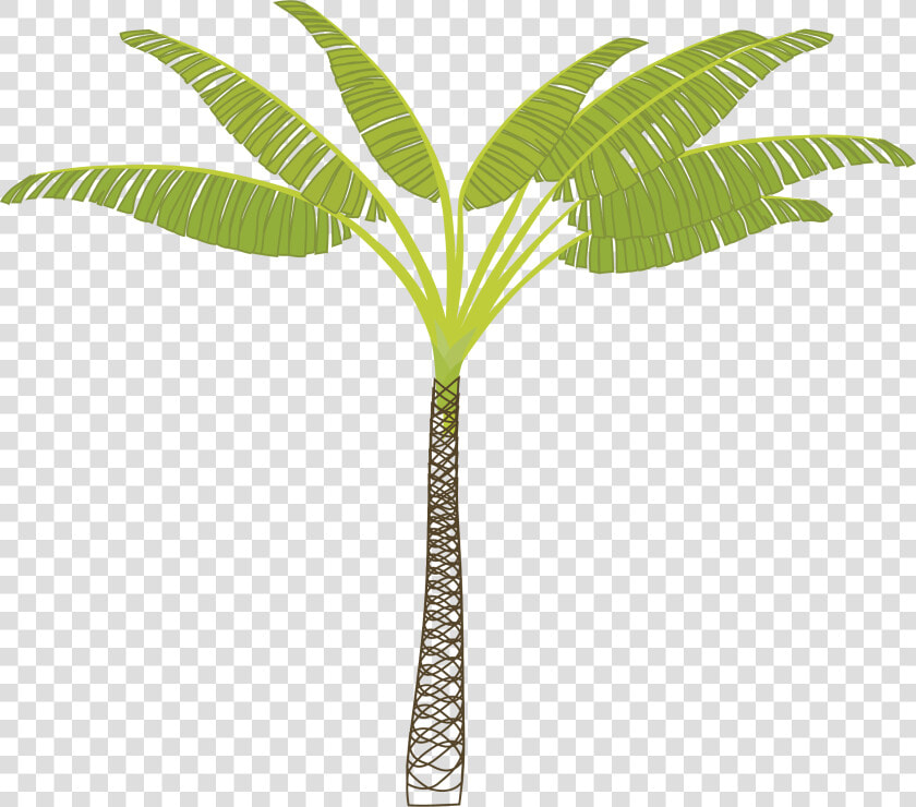 Palm tree Clip Arts   T Shaped Palm Tree  HD Png DownloadTransparent PNG