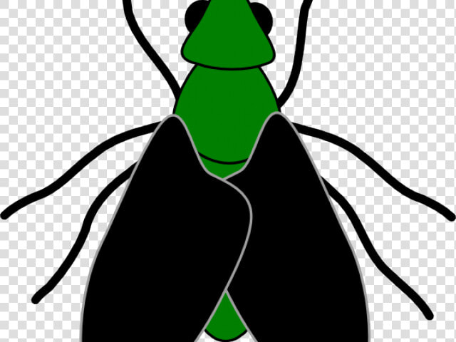 Fly Clipart Bug   Insect Clip Art  HD Png DownloadTransparent PNG