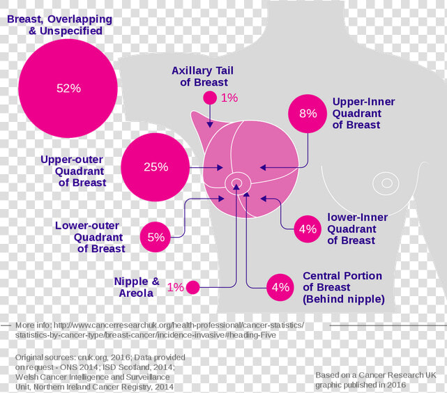 Breast Cancer Incidence By Anatomical Site   Site Of Breast Cancer  HD Png DownloadTransparent PNG