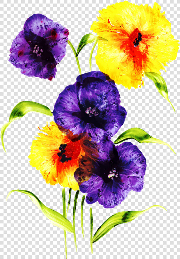 Viola  HD Png DownloadTransparent PNG