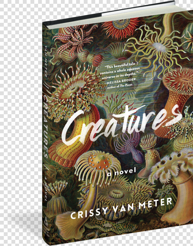 Cover   Creatures Van Meter Algonquin  HD Png DownloadTransparent PNG