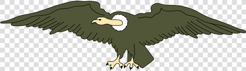 Andean Animal Bird Condor Png Image  Transparent PngTransparent PNG