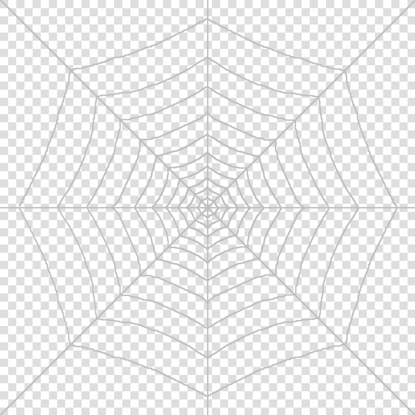 Spider Web Symmetry Structure Pattern   Transparent Background Spider Web Png  Png DownloadTransparent PNG