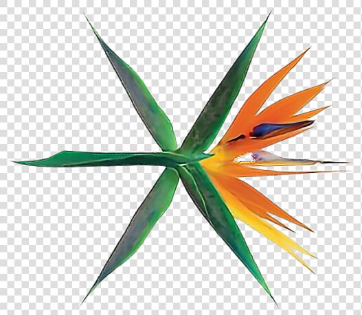  exo  logo  ko Ko Bop  comeback  png   Exo The War The 4th Album Album  Transparent PngTransparent PNG