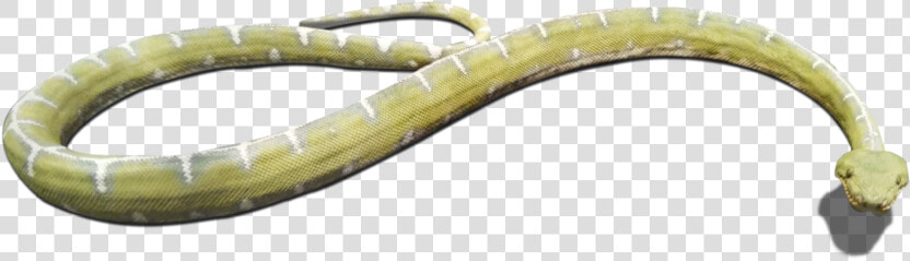 Download And Use Snake Png Clipart   Grass Snake  Transparent PngTransparent PNG