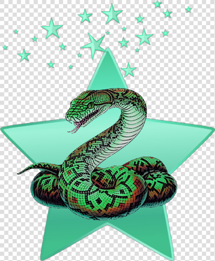  mq  green  snake  stars  star  animal   Snake Png  Transparent PngTransparent PNG