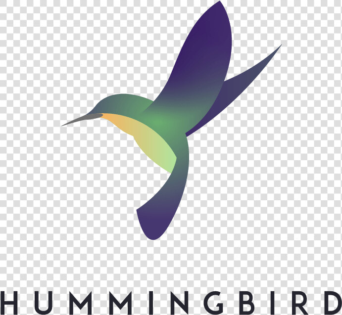 Hummingbird Associates Logo   Ruby throated Hummingbird  HD Png DownloadTransparent PNG