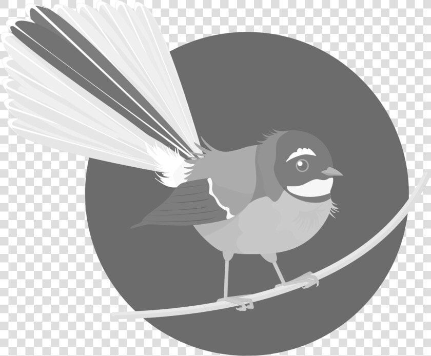 Old World Flycatcher  HD Png DownloadTransparent PNG