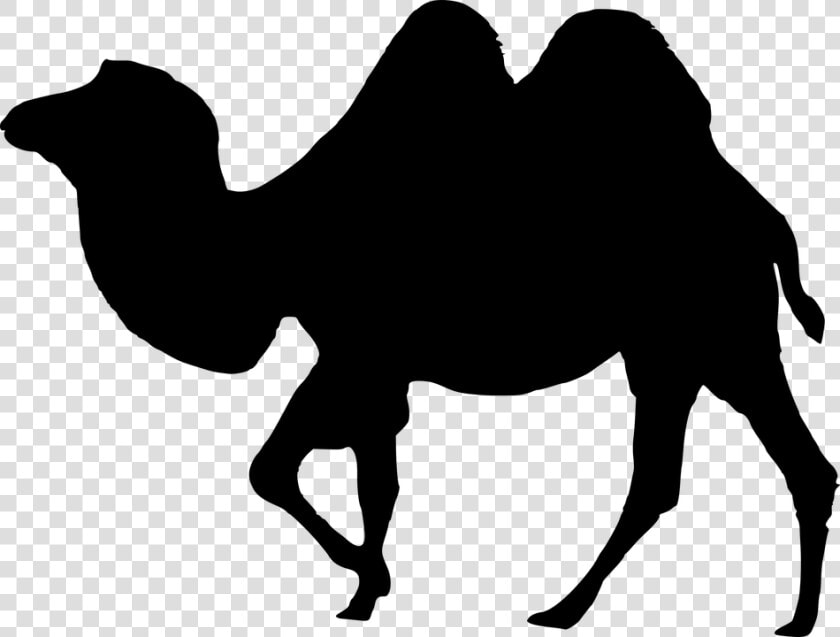 Camel Portable Network Graphics Vector Graphics Rajasthan   Round Batman Logo Png  Transparent PngTransparent PNG