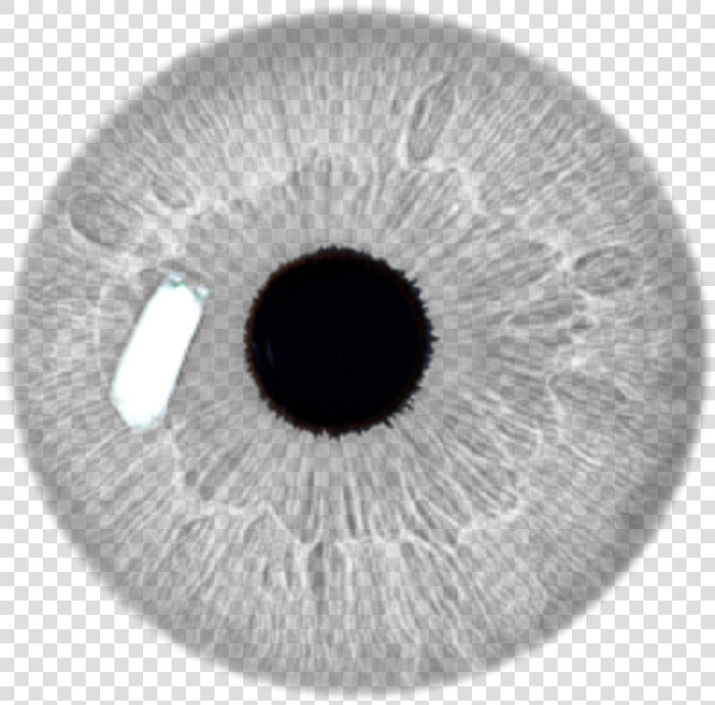 White Eye Png  eye Stickers Transparent Grey Filter   Eye Lens Png Hd  Png DownloadTransparent PNG