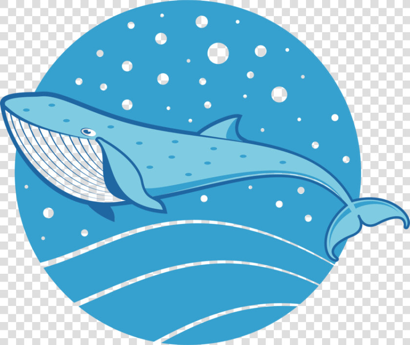 Blue marine Biology whales Dolphins And Porpoises  HD Png DownloadTransparent PNG