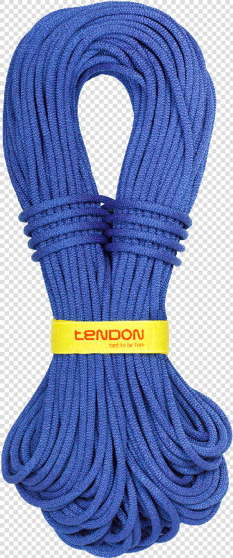 Tendon Master   Tendon Master 60m  HD Png DownloadTransparent PNG