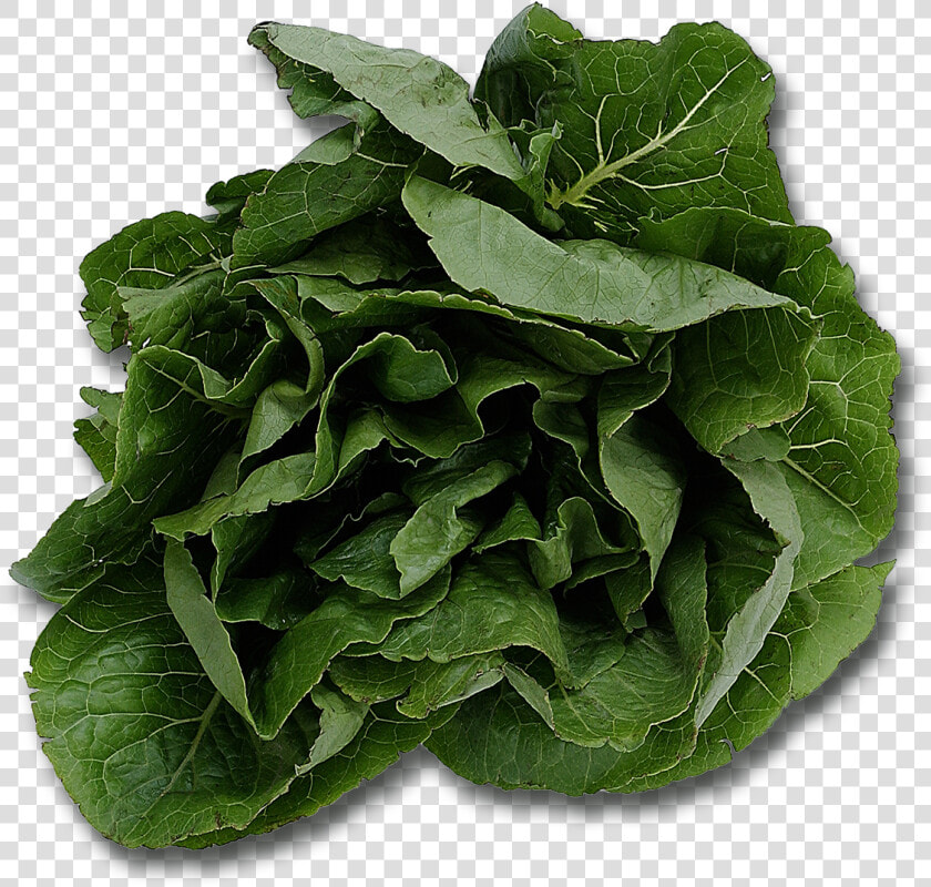 Spinach Png   Name Five Plants That We Eat  Transparent PngTransparent PNG