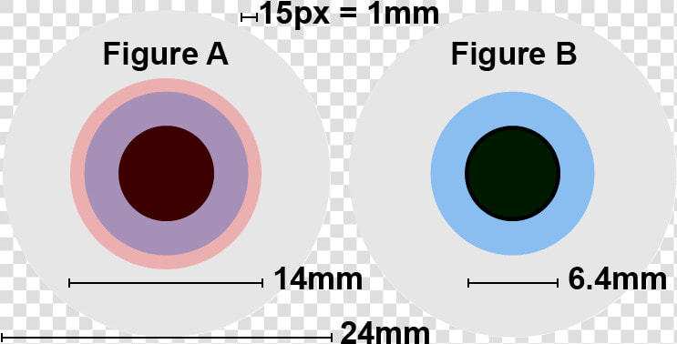 Comparison Of Exit Pupils For Astronomy   Human Eye Diameter  HD Png DownloadTransparent PNG