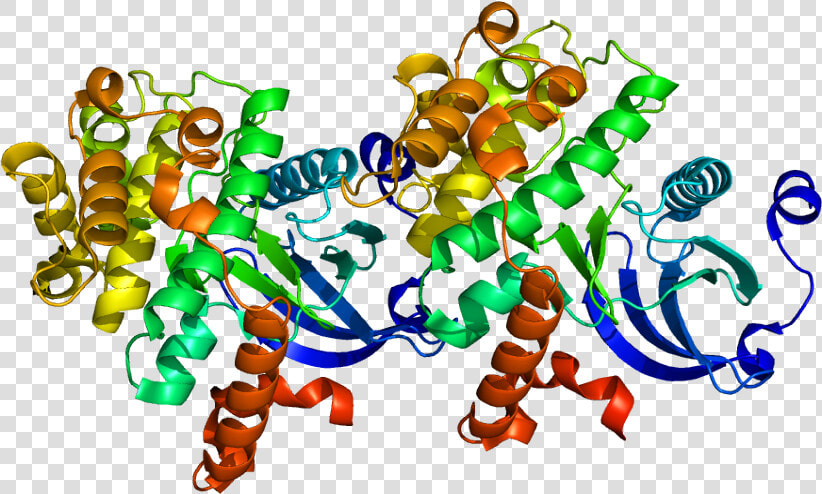 Protein Taok2 Pdb 1u5q   Taok2  HD Png DownloadTransparent PNG