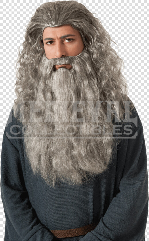 Adult Gandalf Wig And Beard  HD Png DownloadTransparent PNG