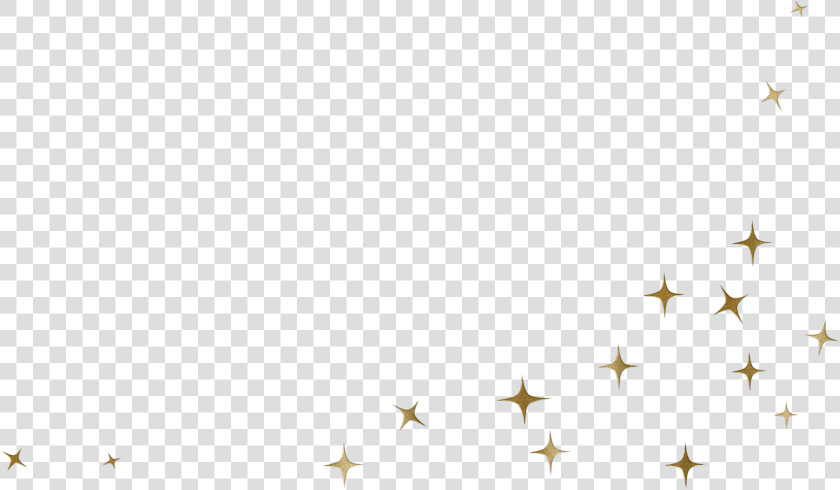 Transparent Sparkles Related Keywords  amp  Suggestions   Stars Brush Png  Png DownloadTransparent PNG