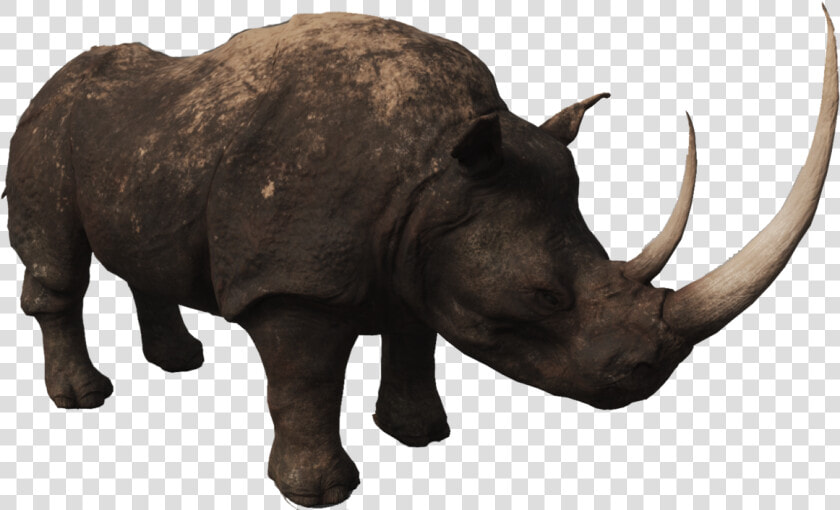 Rhino Png Photos   Rhinoceros  Transparent PngTransparent PNG