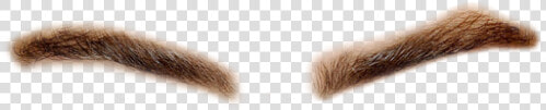 Cara Delevingne Eyebrows Png  Transparent PngTransparent PNG