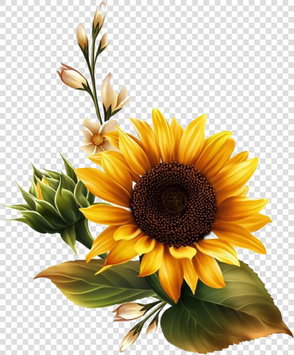  flowerpng  sunflower  overlays  kpopedit  freetoedit   Transparent Background Sunflower Clipart  Png DownloadTransparent PNG