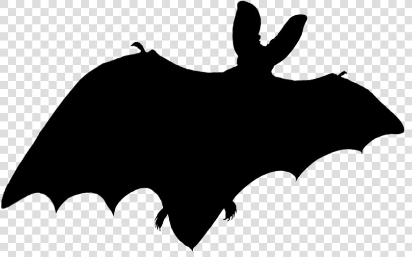 Bat Shadow   Bat Shadow Png  Transparent PngTransparent PNG