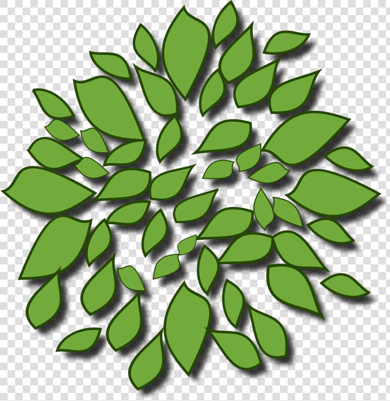 Tree 02   Icon Baum Von Oben  HD Png DownloadTransparent PNG