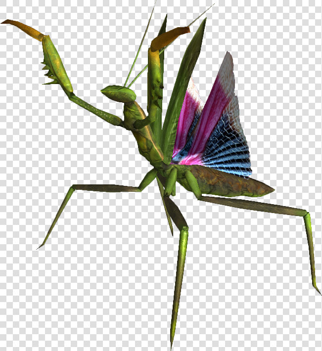 Mantis Png Picture   Fnv Mantis  Transparent PngTransparent PNG