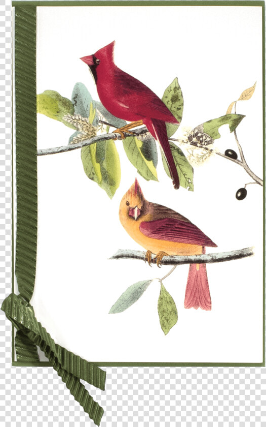 Antique Red Bird   Northern Cardinal  HD Png DownloadTransparent PNG