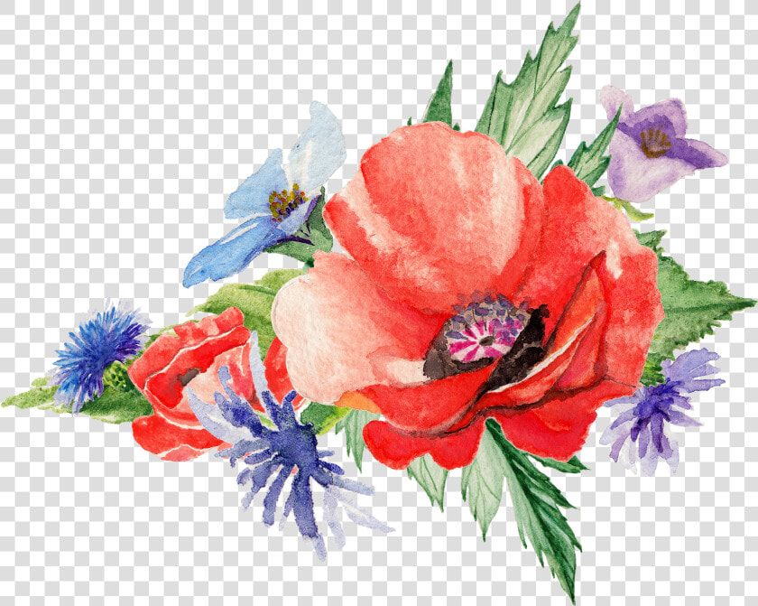 Watercolor Flowers Poppy Art Painting   Transparent Poppy Flower Watercolor  HD Png DownloadTransparent PNG