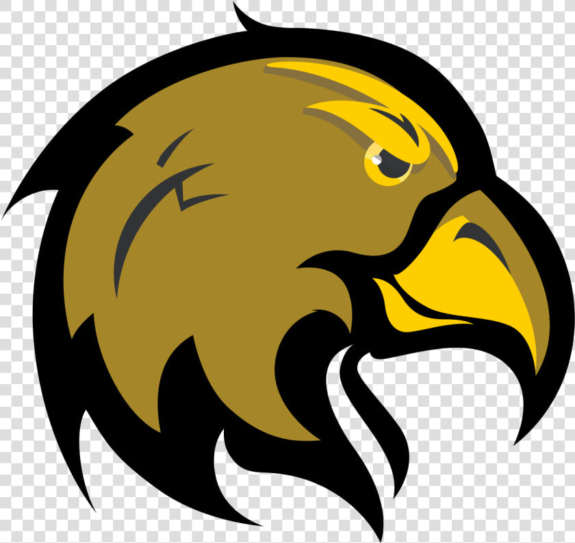 California State University Mascot  HD Png DownloadTransparent PNG