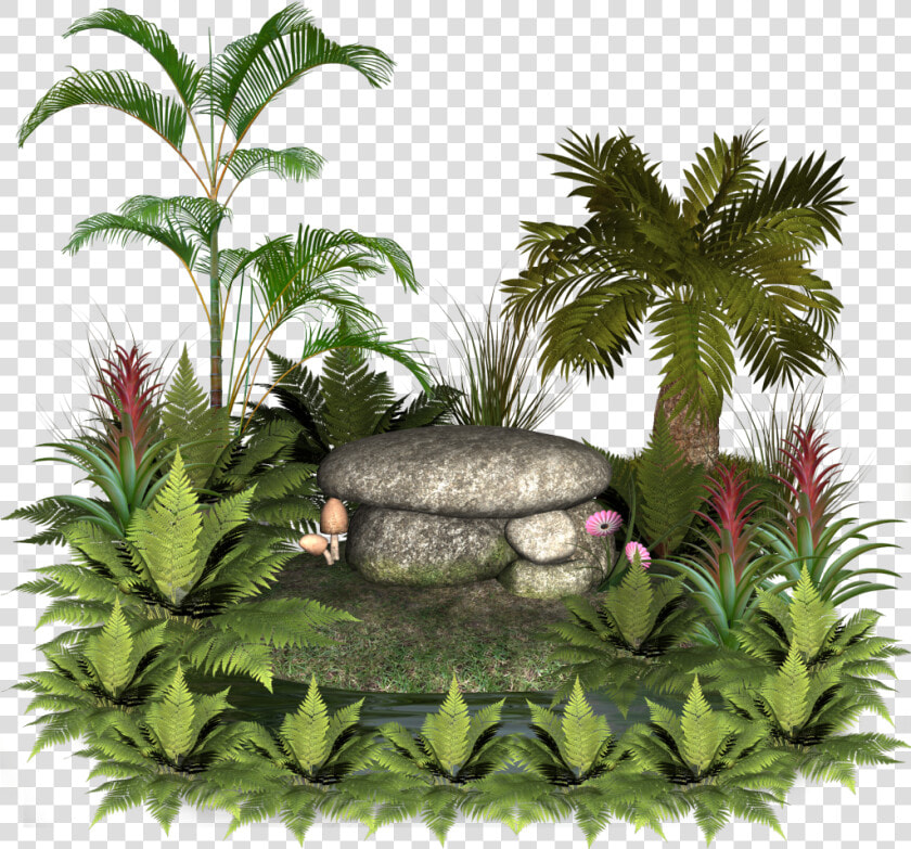 Plants And Rocks   Good Morning Happy Monday God Bless  HD Png DownloadTransparent PNG