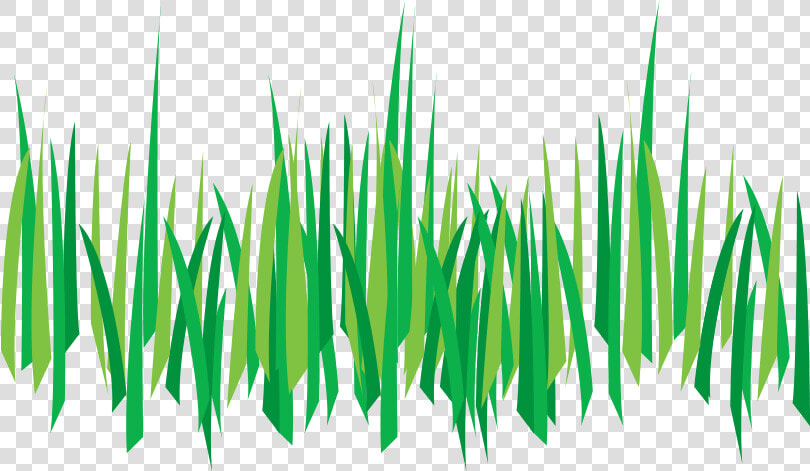 Weed Control Tempe Az   Transparent Background Cartoon Grass  HD Png DownloadTransparent PNG