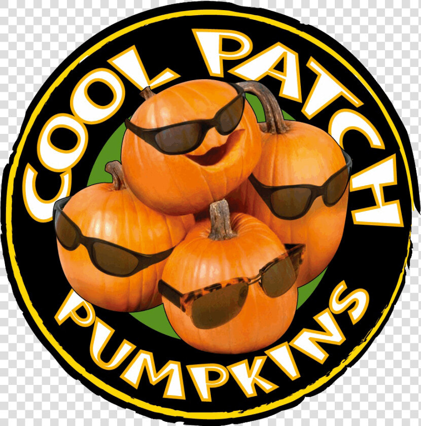 Coolpatchpumpkins Cool Pumpkins   Cool  HD Png DownloadTransparent PNG