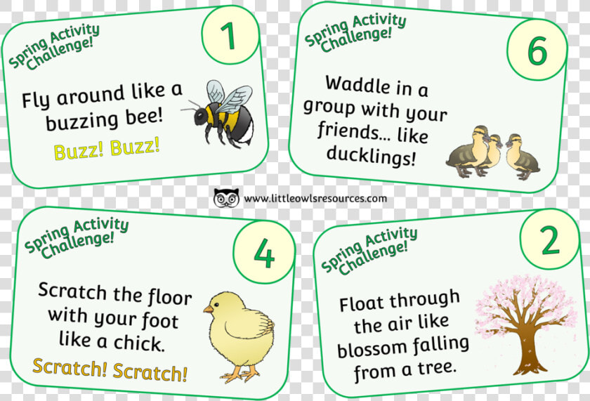 Spring Activity Challenge Cards   Cartoon  HD Png DownloadTransparent PNG