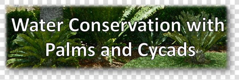 Banner Water Conservation  HD Png DownloadTransparent PNG