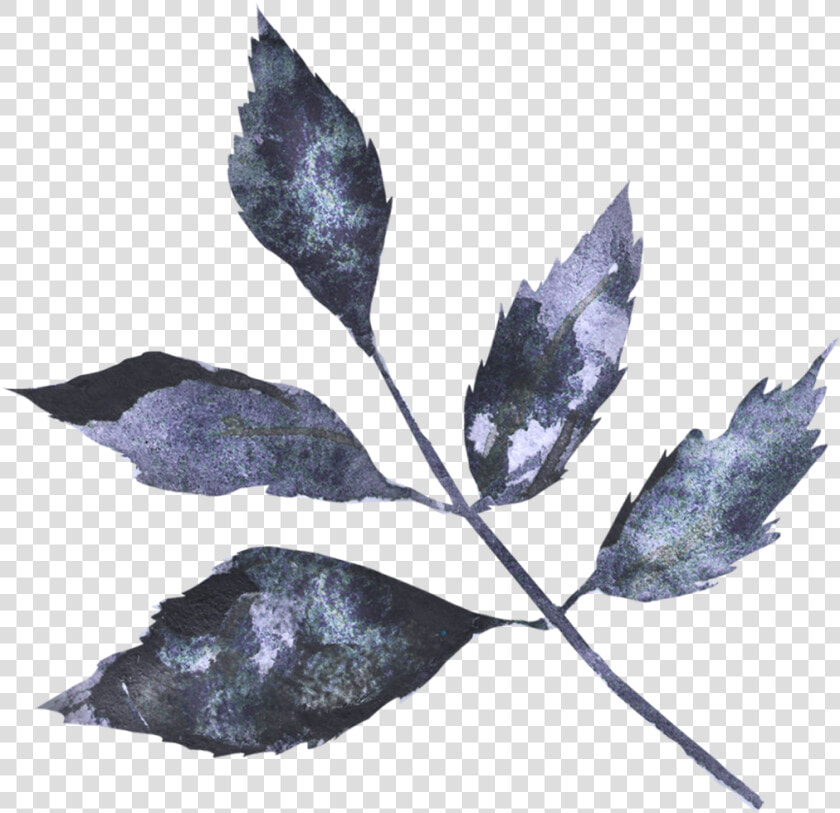 Twig  HD Png DownloadTransparent PNG