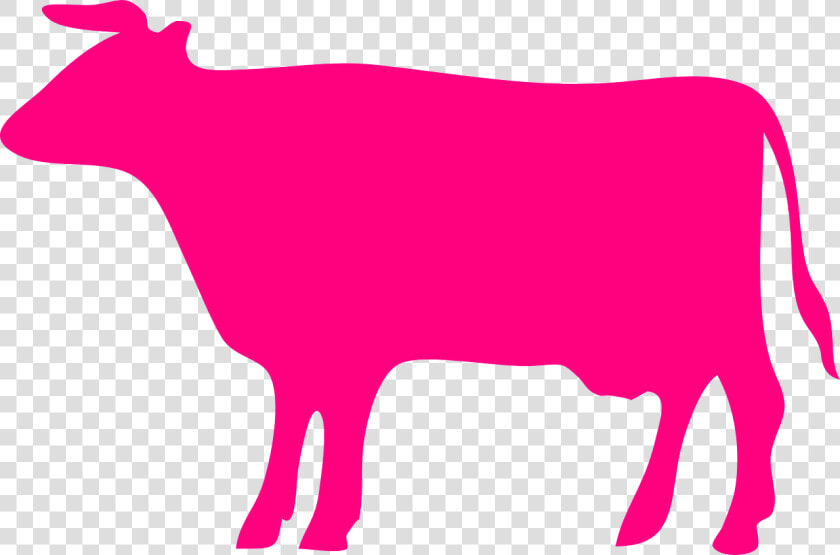 Cow Cattle Silhouette Free Photo   Cow Silhouette Free  HD Png DownloadTransparent PNG