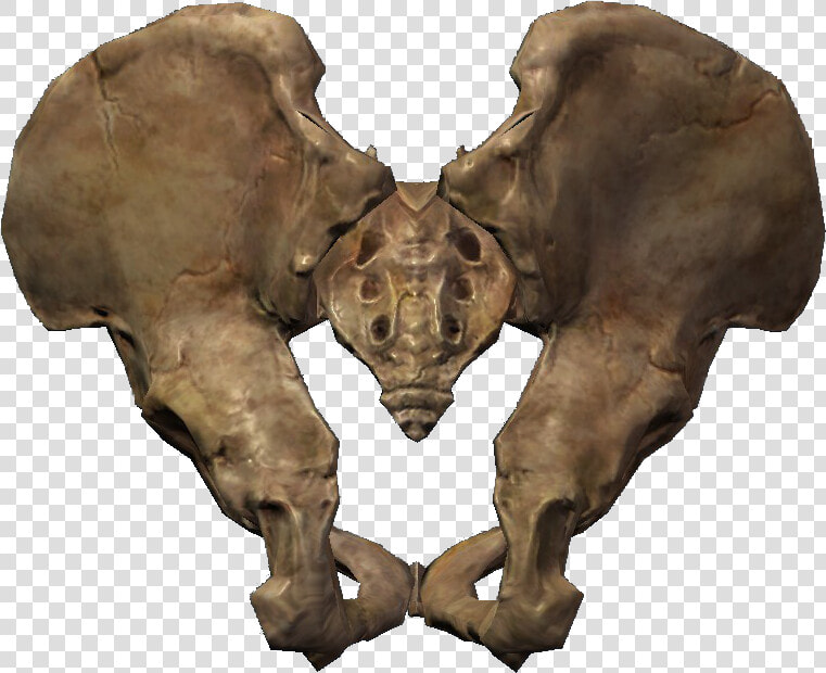 Image Pelagius Hip Bone Elder Scrolls Fandom Powered   Hip Bone Png  Transparent PngTransparent PNG