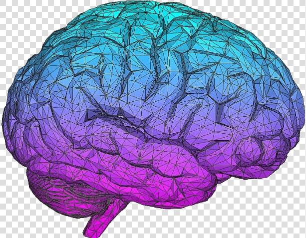 Blue Brain Download Png Image   Aesthetic Brain Transparent  Png DownloadTransparent PNG