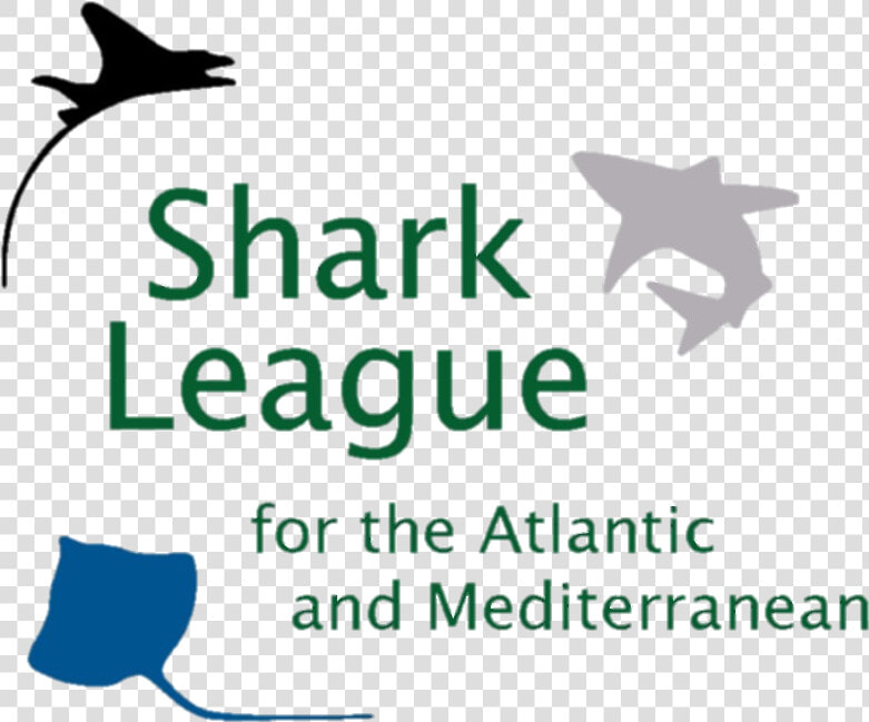 Transparent Mako Shark Png   Geek  Png DownloadTransparent PNG