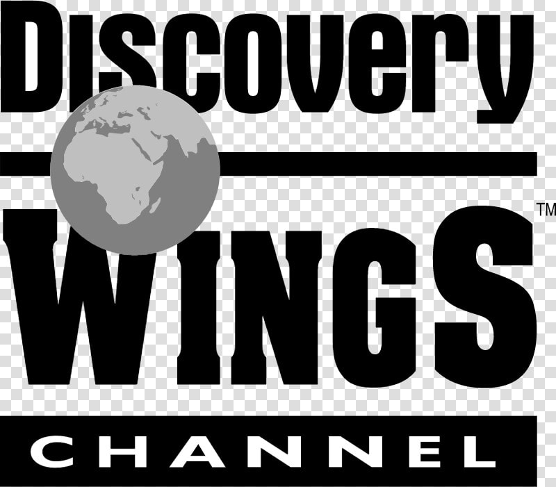 Discovery Wings Vector Logo   Discovery Channel  HD Png DownloadTransparent PNG