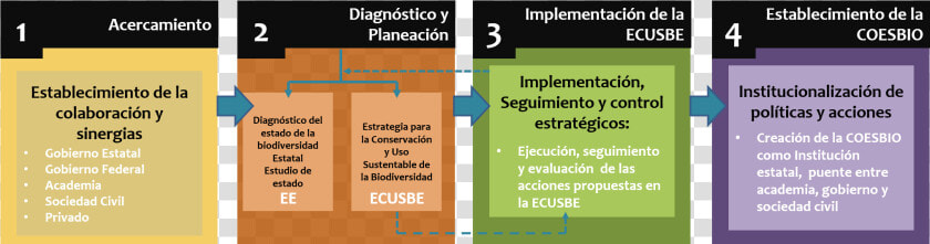 Estrategias De Conservación De La Biodiversidad  HD Png DownloadTransparent PNG