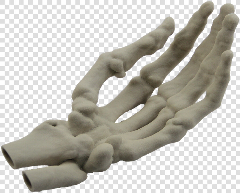 Hand Model Finger Human Skeleton   3d Printed Skeleton Hand  HD Png DownloadTransparent PNG