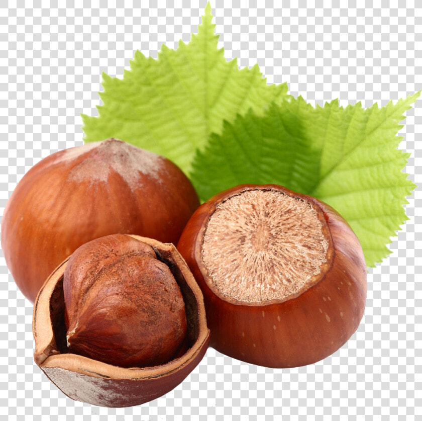 Hazelnut   Hazelnuts Png  Transparent PngTransparent PNG