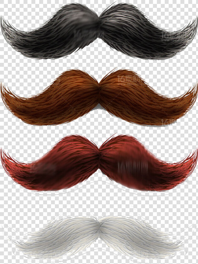 Hair Men Png   Brown Mustache Beard Clipart  Transparent PngTransparent PNG