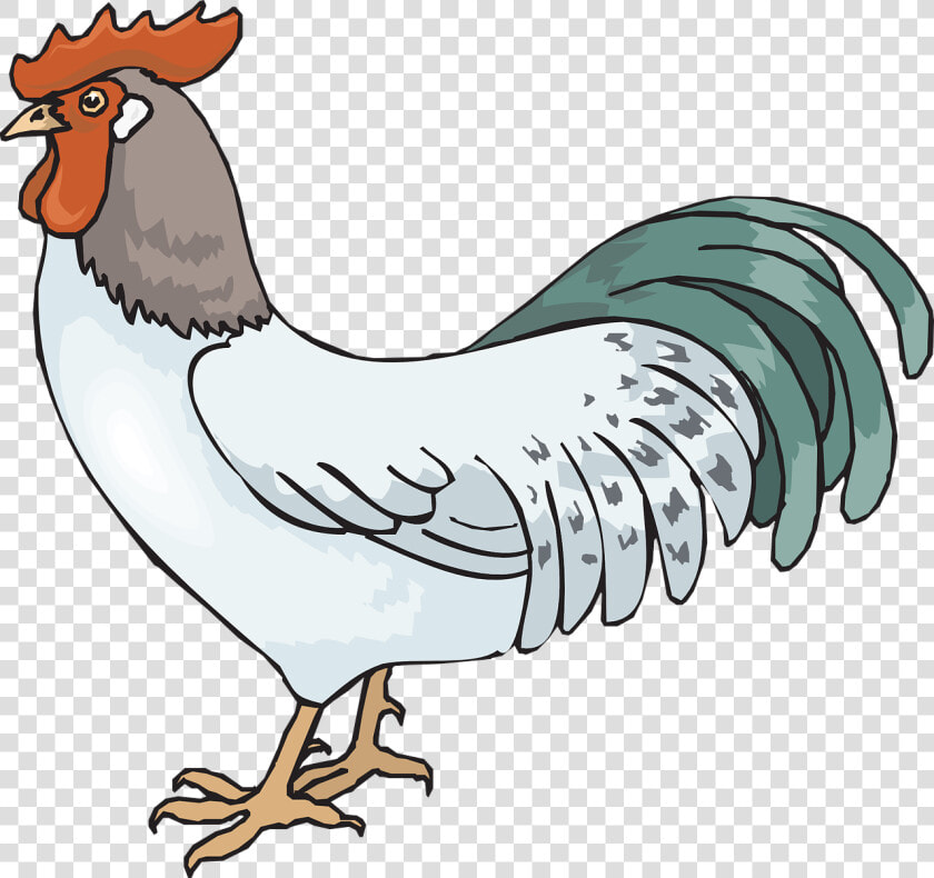 Rooster Png Pic   Rooster Clip Art  Transparent PngTransparent PNG