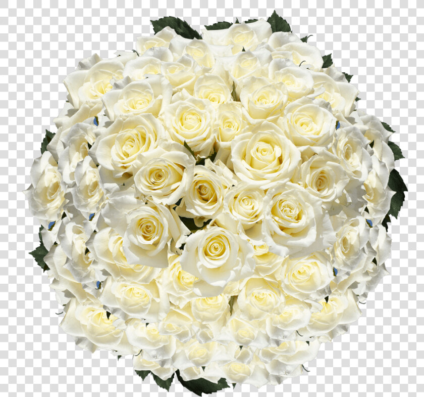 White Roses Mother S Day Flower Specials Free Shipping   Floribunda  HD Png DownloadTransparent PNG